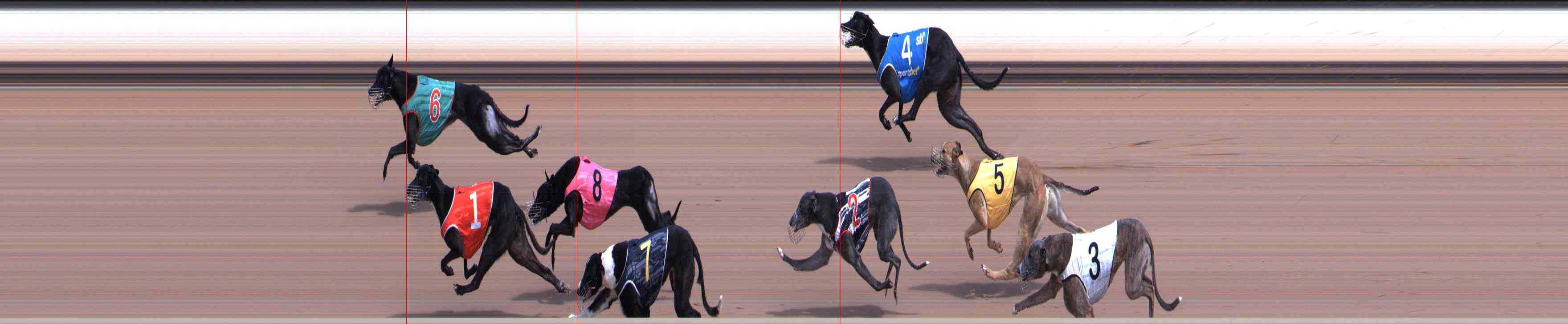 Race result finish photo